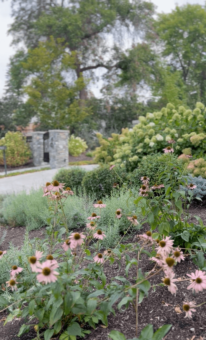 Screen Shot 2024-06-12 at 4.00.02 PM