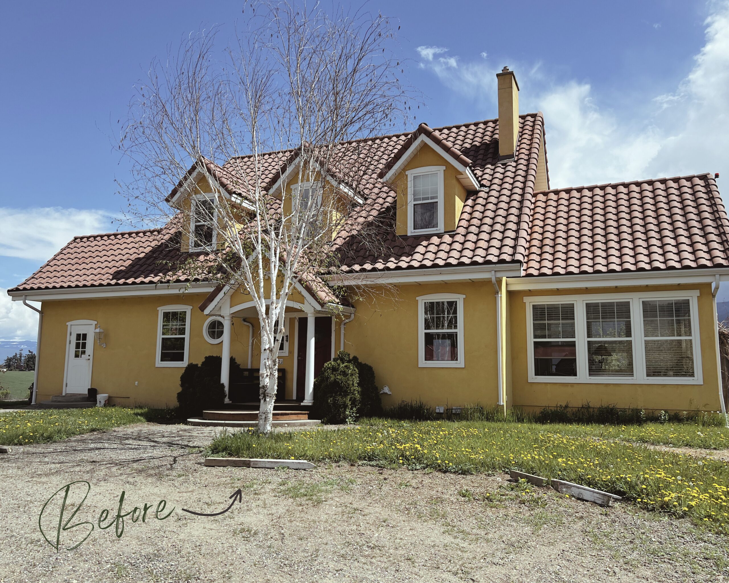 Aesthetic Vintage Lifestyle Photo Collage