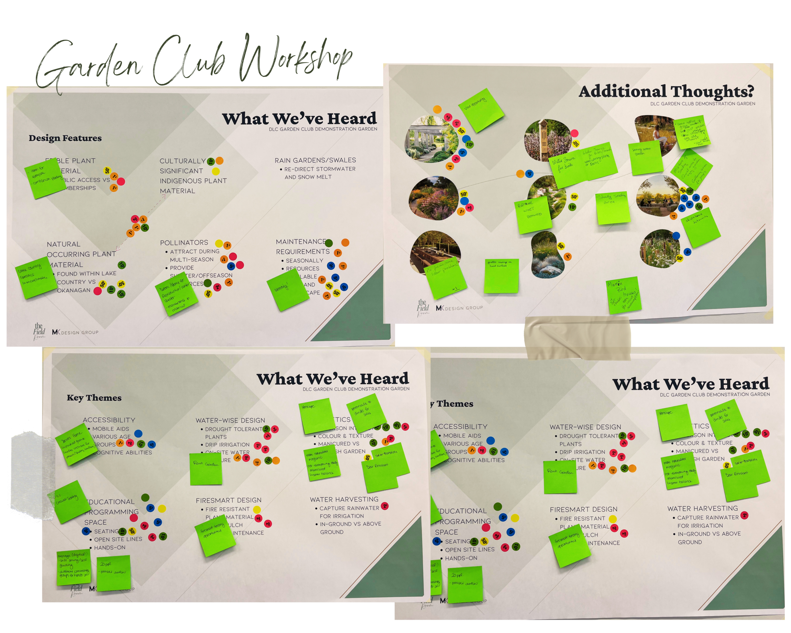 TFR Website photos (1)