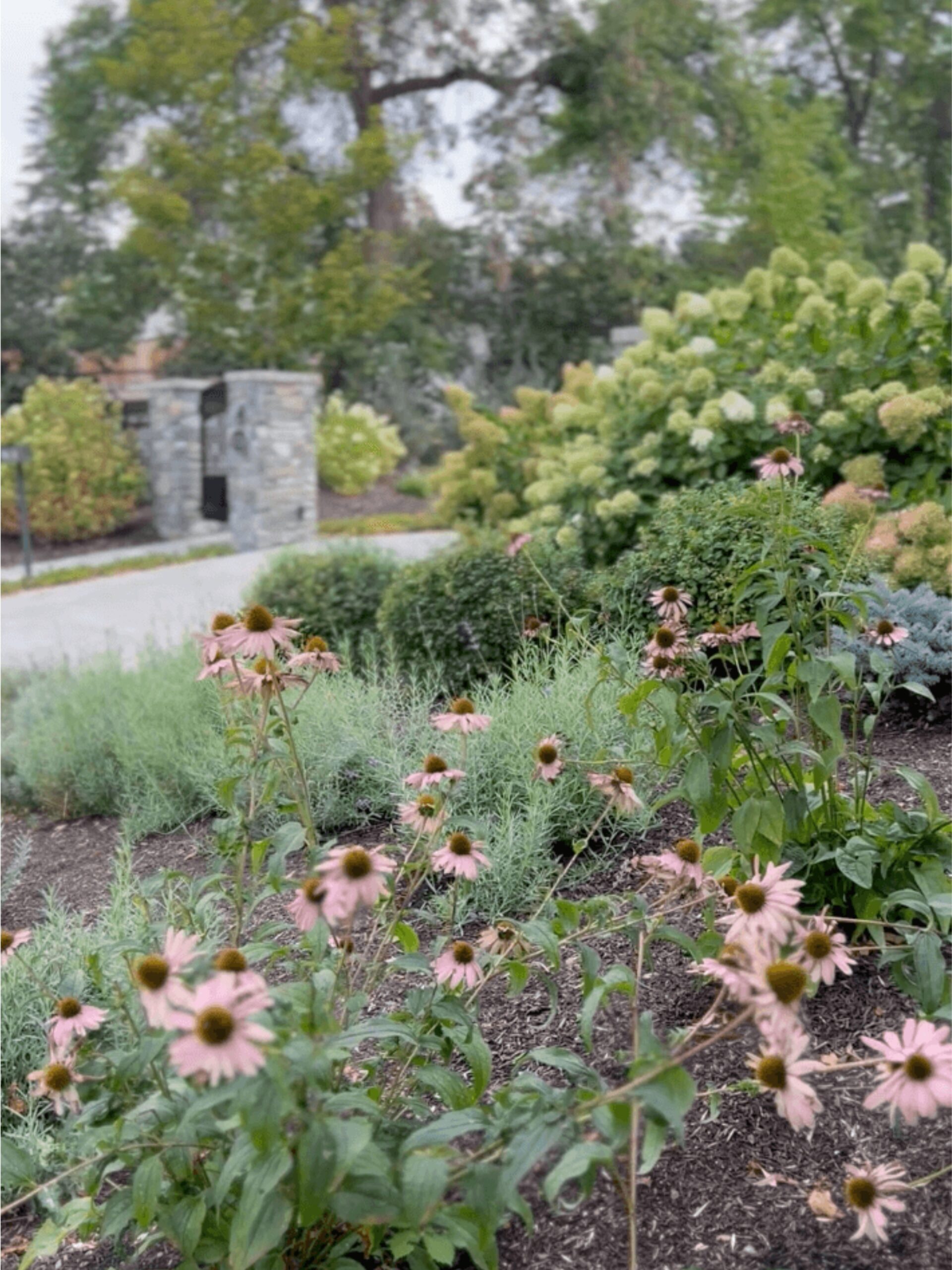 Okanagan-Landing-Residence-image1
